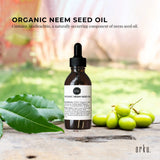 Orku 25ml Organic Neem Seed Oil - Debitterised Cold Pressed Azadirachtin Indica - Front View