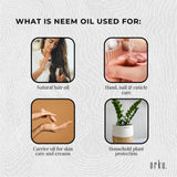 Cold Pressed 500ml Neem Seed Oil - Organic Debitterised with Azadirachtin Indica - 45-Degree Angle