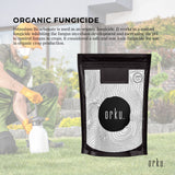 100g Pure Food Grade Organic Potassium Bicarbonate Powder for Baking, Brewing, and Fungicide Use - Top-Down View