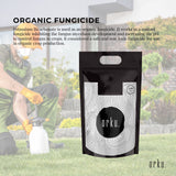 5Kg Pure Food Grade Organic Potassium Bicarbonate Powder for Baking, Brewing, and Gardening - Top-Down View