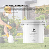 5Kg Food Grade Organic Potassium Bicarbonate Powder - Ideal for Baking, Brewing, and Organic Farming - Top-Down View