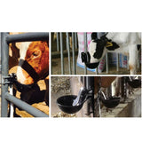 21.5cm Cattle Drinking Bowl - Iron Cast Mounted Automatic Water Cow Horse Trough - 45-Degree Angle