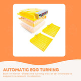 Rooster Farms Electric 112 Egg Incubator + Accessories for Chicken Quail Duck - Top-Down View