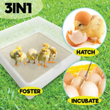 Rooster Farms Electric 112 Egg Incubator + Accessories for Chicken Quail Duck - Extra Image
