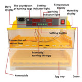 Electric 112 Egg Incubator + Accessories Hatching Eggs Chicken Quail Duck - Low Angle