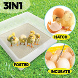 Electric 112 Egg Incubator + Accessories Hatching Eggs Chicken Quail Duck - Extra Image