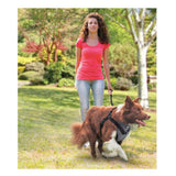 XL Dog Harness 2 in 1 Combo - Car Travel Rides + Walks - No Pull Leash Seat Belt - Top-Down View