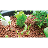 50L Hydro Clay Balls - Natural Premium Hydroponic Expanded Plant Growing Medium - Top-Down View