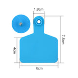 100x Cattle Ear Tags 6x7.5cm Set - Medium Blue Blank Cow Sheep Livestock Label - Top-Down View