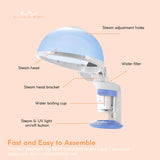Portable 2-in-1 Hair and Facial Steamer with Ozone Function for Home Use - 45-Degree Angle