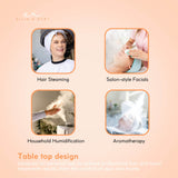 Portable 2-in-1 Hair and Facial Steamer with Ozone Function for Home Use - Rear View