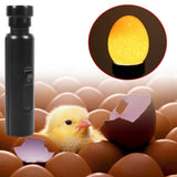 AU Plug Egg Candler Lamp - LED Cool Light Chicken Duck Quail Hatching Incubator - Rear View