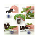 50ml Clonex Rooting Hormone Purple Gel Propagation Clone Plant Growth Technology - Front View