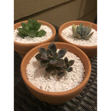 5L Perlite Organic Super Coarse Premium Soil Expanded Medium Plants Hydroponics - Top-Down View