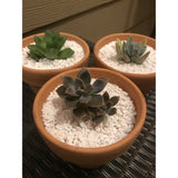 5L Perlite Organic Super Coarse Premium Soil Expanded Medium Plants Hydroponics - Top-Down View