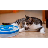 Interactive Cat Track Circle with LED  Sound Light Rolling Ball - Chase Play Toy - 45-Degree Angle