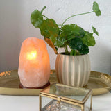 12V 12W 1-2 Kgs Himalayan Pink Salt Lamp Natural Rock Crystal Light Bulb On/Off - Rear View