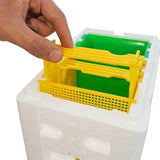 Mini Mating Box Queen Bee Rearing Plastic Styrene Foam Hive Harvest Copulation - Side View