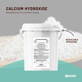 Kemmie 600g Calcium Hydroxide Powder Tub - Food Grade Pickling Lime FCC - Top-Down View