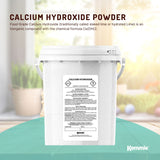 600g Food Grade Calcium Hydroxide Powder Tub FCC Hydrated Slaked Pickling Lime - Front View