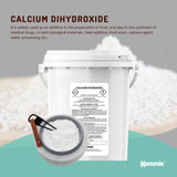 600g Food Grade Calcium Hydroxide Powder Tub FCC Hydrated Slaked Pickling Lime - 45-Degree Angle