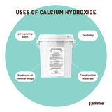 600g Food Grade Calcium Hydroxide Powder Tub FCC Hydrated Slaked Pickling Lime - Low Angle