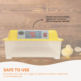 Rooster Farms Electric 24 Egg Incubator + Accessories for Chicken Quail Duck - Close-Up Angle