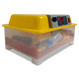 Rooster Farms Electric 32 Egg Incubator + Accessories for Chicken Quail Duck - Top-Down View