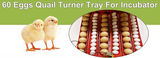 Rooster Farms Electric 60 Egg Incubator + Accessories for Chicken Quail Duck