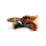 Dog Plush Toy - Pheasant Squeaky Interactive Small Life Like Bird - Puppy Play - Front View