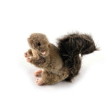 Dog Plush Toy - Squirrel Squeaky Interactive Small Life Like Pet Puppy Play - Front View
