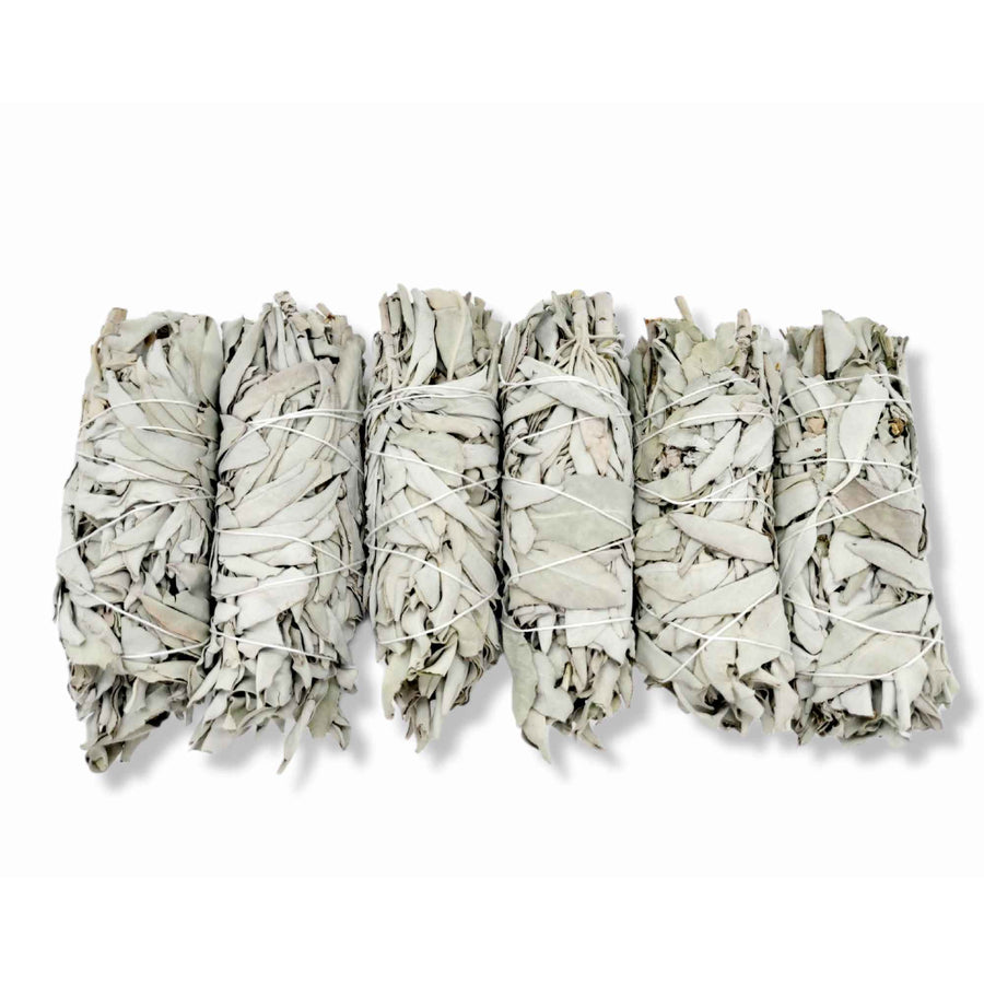 6x Californian White Sage Smudge Sticks Medium 13-15cm Incense Cleansing Bundle