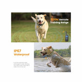 Dog Bark Collars - 3x 800m Range Recievers Vibration Sound Light Training Device - 45-Degree Angle