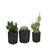 6 Pck 0.6 Gallon Fabric Flower Pots 2.4L Garden Planter Bags Black Felt Root Pouch - Side View