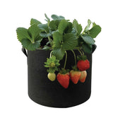 6 Pck 10 Gallon Fabric Flower Pots 38L Garden Planter Bags Black Felt Root Pouch - Top-Down View