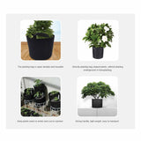 6 Pck 10 Gallon Fabric Flower Pots 38L Garden Planter Bags Black Felt Root Pouch - Low Angle