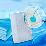 30x Pack Puppy Training Mat 56x56cm Dog Indoor Pads Pee Absorbent Toilet - Top-Down View