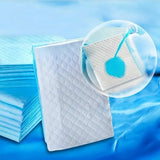 30x Pack Puppy Training Mat 56x56cm Dog Indoor Pads Pee Absorbent Toilet - Top-Down View