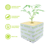 75x75x65mm Stonewool 8pk - Planting Propagation Growing Assist Block Nutrifield - Side View