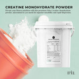 Orku 800g Creatine Monohydrate Powder Tub – 200 Mesh Micronised | 99.9% Purity - Front View