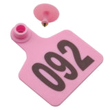1-100 Cattle Number Ear Tags 5x4cm Set - Small Pink Pig Goat Livestock Label - Top-Down View