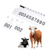 1-100 Cattle Number Ear Tag 6x7cm Set - Medium White Cow Sheep Livestock Label - 45-Degree Angle