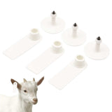 100x Cattle Ear Tags 5x2cm Set - Mini White Blank Pig Goat Livestock Label - 45-Degree Angle