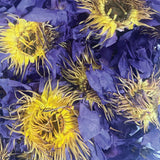 Orku 2Kg Dried Blue Lotus Flowers - Whole Open Lily Nymphaea Caerulea - Side View