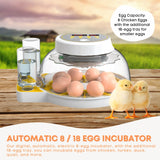 Automatic 8 / 18 Egg Incubator - Electrical Turning Chicken Quail Duck Hatching - Front View