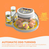 Automatic 8 / 18 Egg Incubator - Electrical Turning Chicken Quail Duck Hatching - Top-Down View