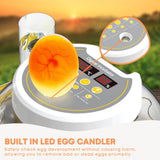 Automatic 8 / 18 Egg Incubator - Electrical Turning Chicken Quail Duck Hatching - 45-Degree Angle