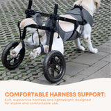 Rooster Farms Large Dog Wheelchair XL Harness - Adjustable Back Leg Aid - Extra Image