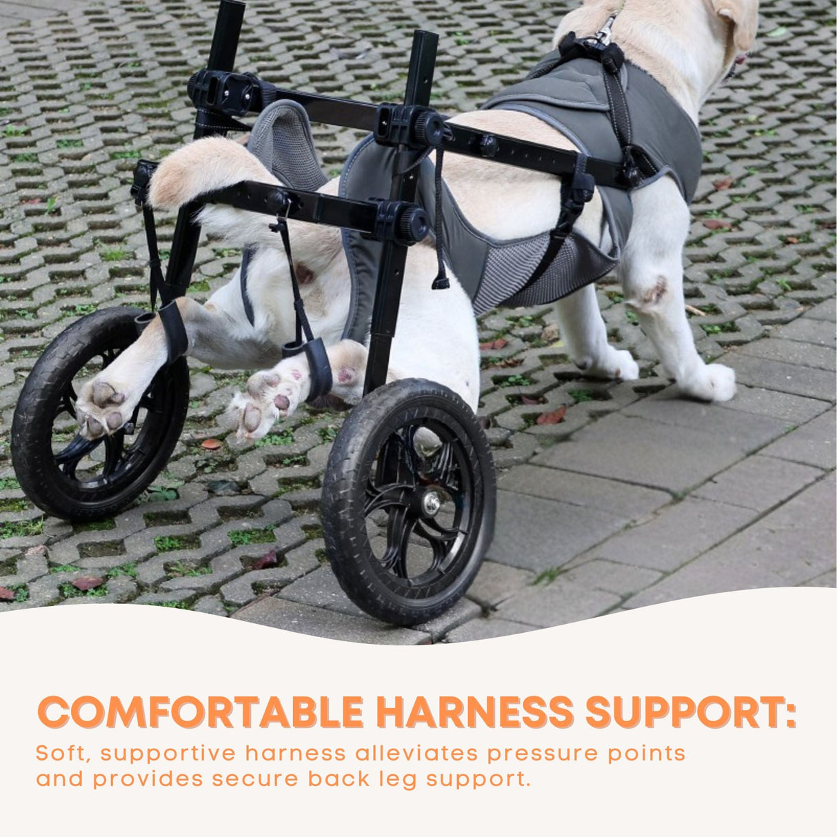 Rooster Farms Large Dog Wheelchair XL Harness - Adjustable Back Leg Aid
