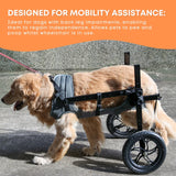 Rooster Farms Large Dog Wheelchair XXL Harness - Adjustable Back Leg Aid - Close-Up Angle